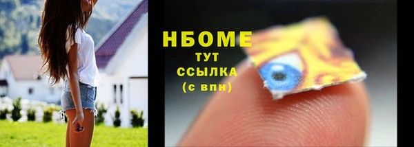 стафф Арсеньев