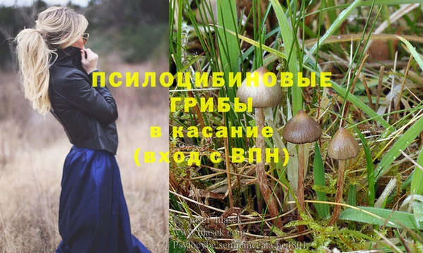 стафф Арсеньев