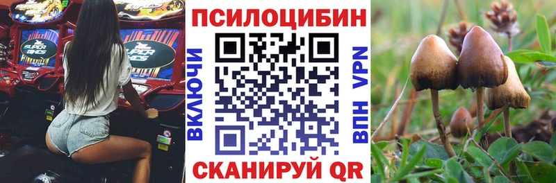 Галлюциногенные грибы прущие грибы Переславль-Залесский
