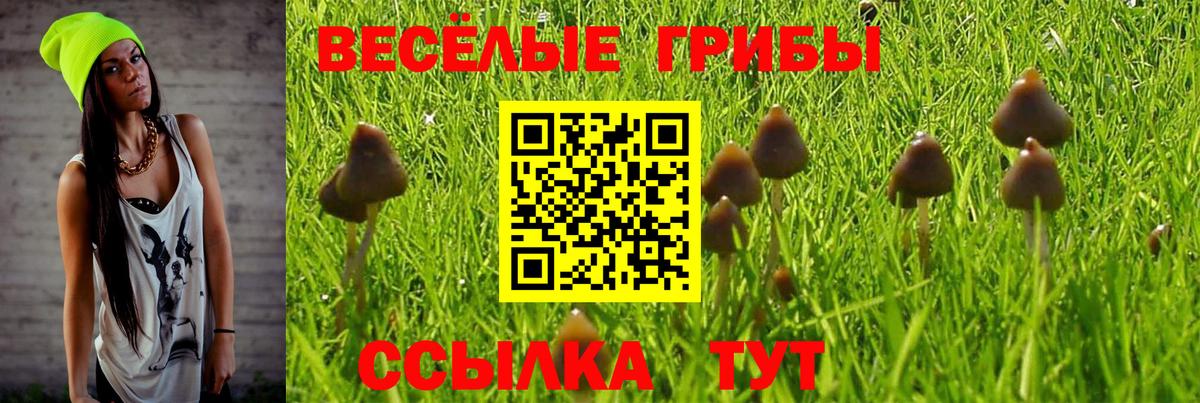 Галлюциногенные грибы GOLDEN TEACHER Переславль-Залесский