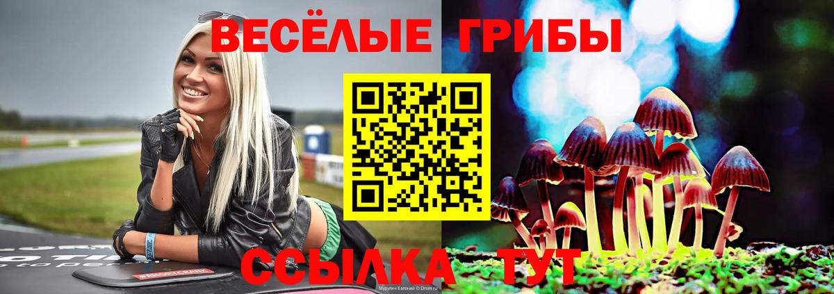 Переславль-Залесский  Галлюциногенные грибы ЛСД  Галлюциногенные грибы прущие грибы  Вход с VPN 